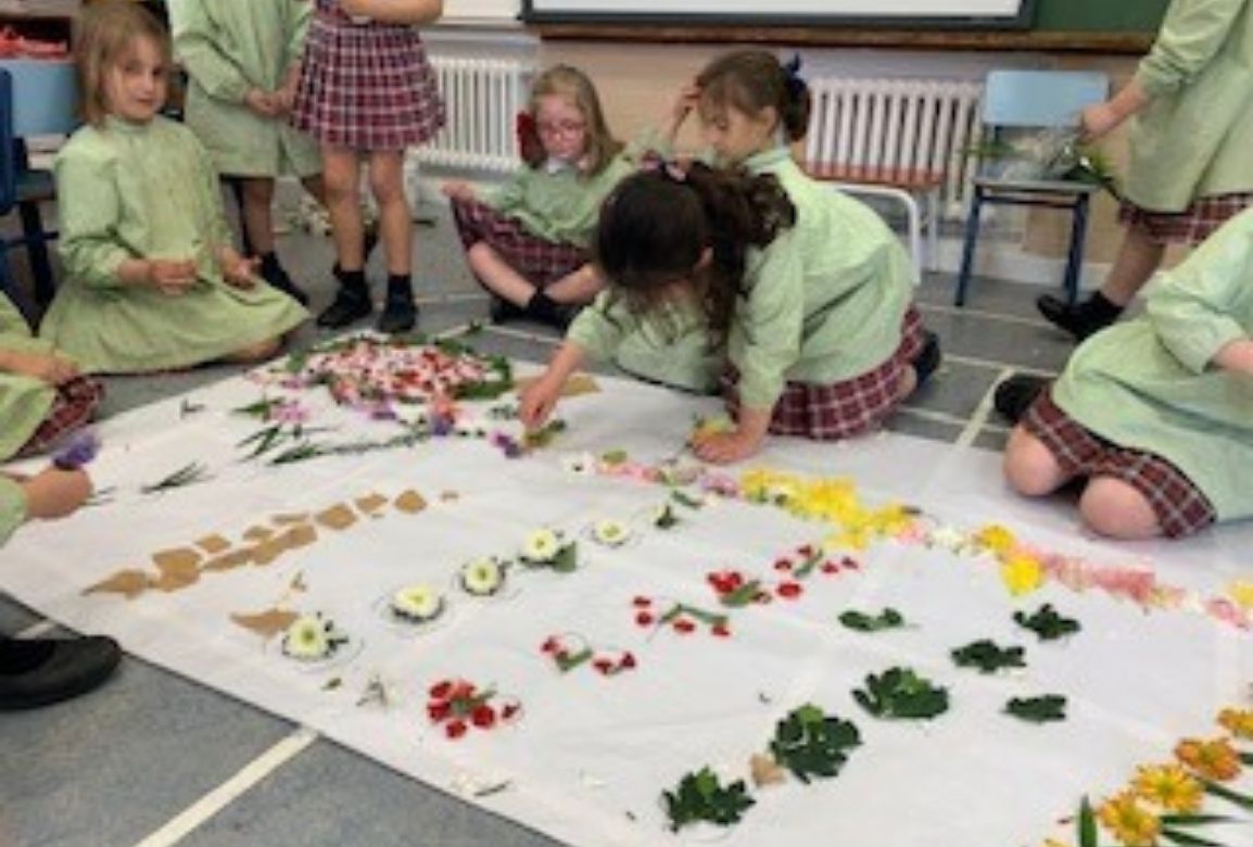 La vida de las plantas