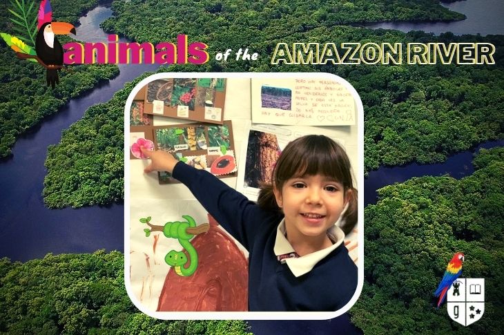 Animales del Amazonas