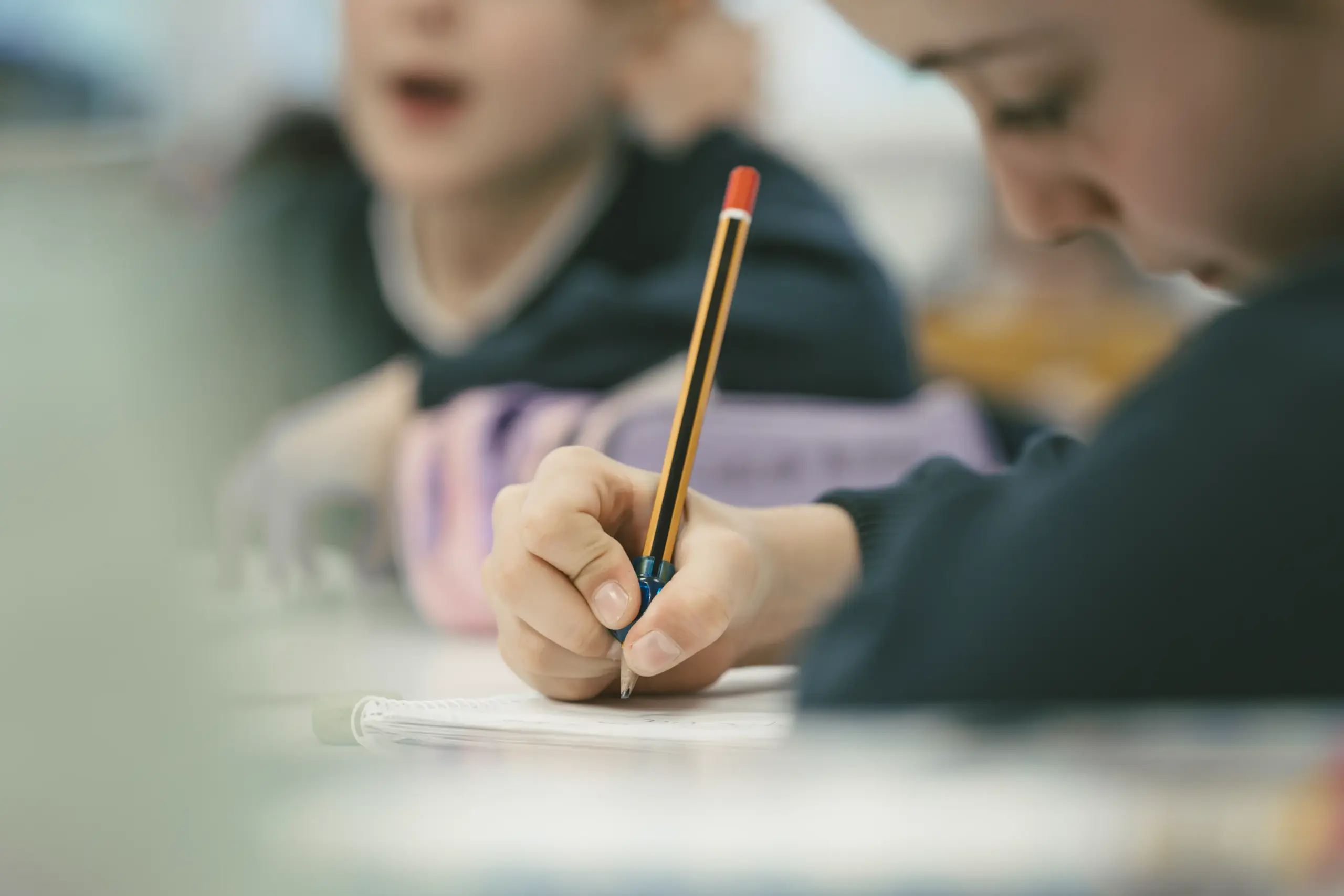 Etapas educativas