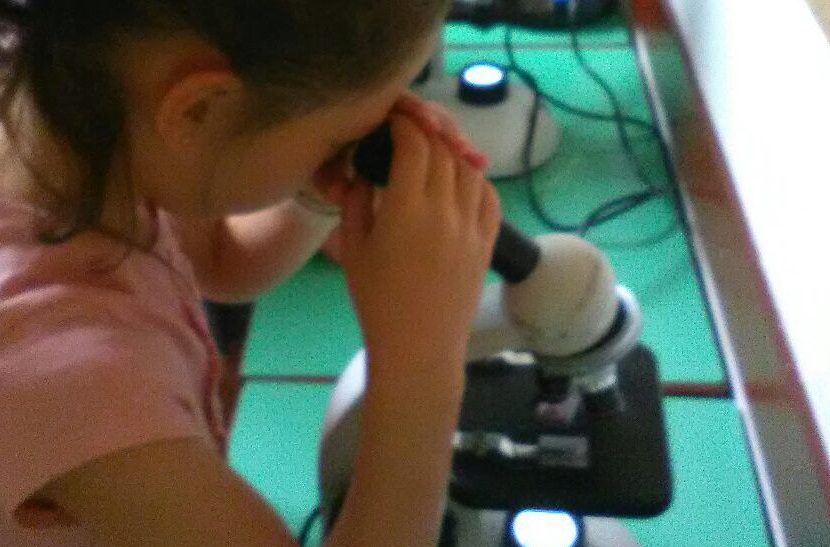 JUGANDO A CIENTIFICOS