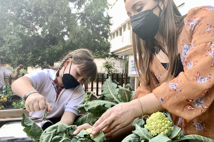 Un huerto de coles y plantas aromáticas